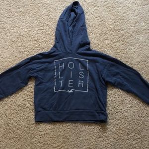 Hollister Brand Name Logo Crop Sweatshirt.